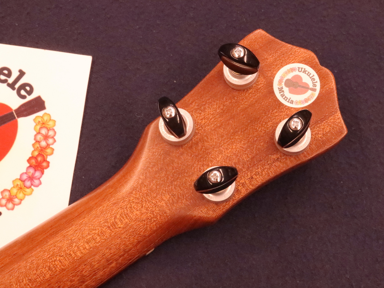 ANTAR Custom Cat Inlay Hawaiian Milo Wood Longneck Soprano Ukulele #5344（新品 ）【楽器検索デジマート】