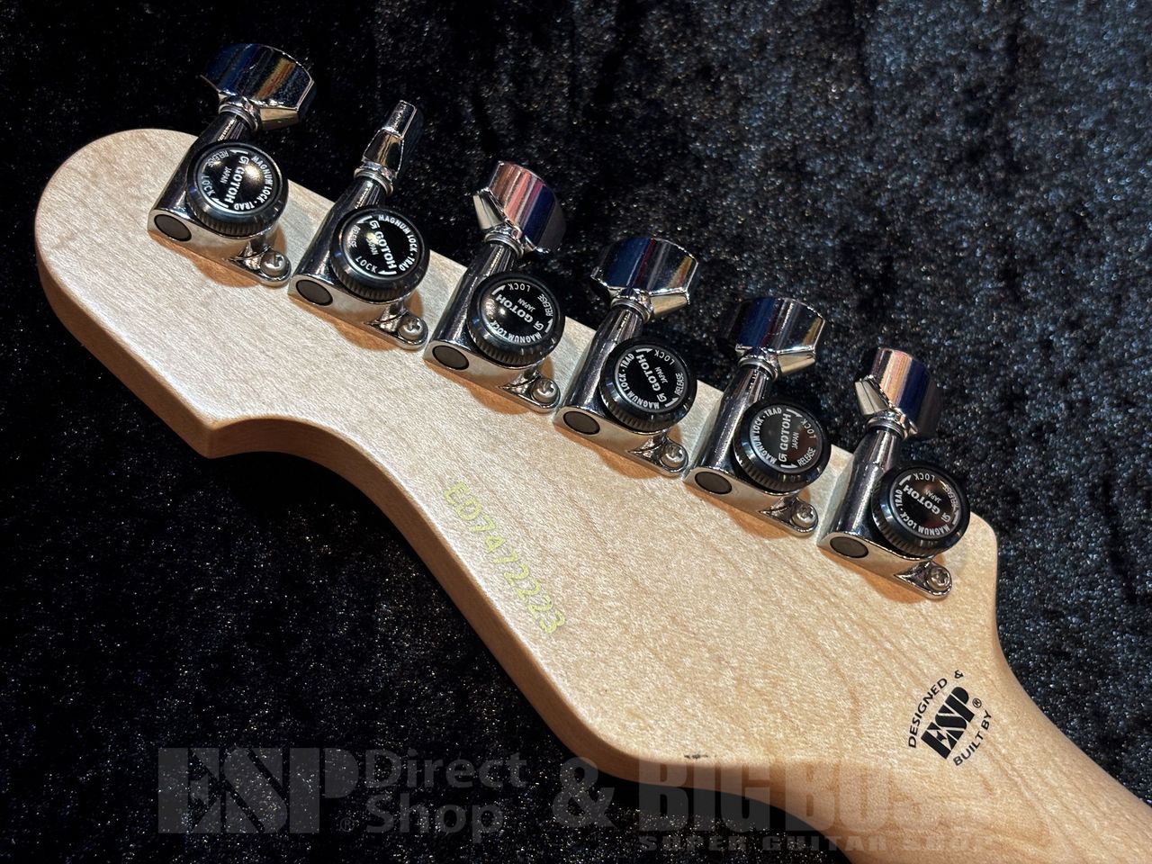 EDWARDS E-SNAPPER-AS/M 【Burner Natural】（新品特価/送料無料