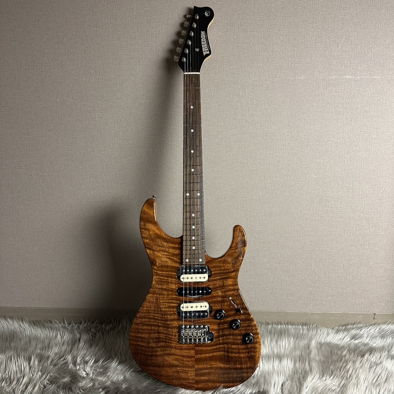 FREEDOM CUSTOM GUITAR RESEARCH EZa 24F FT HSH -晩秋【現物画像】（B