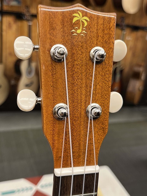 ILIKAI IL-SOP-4KGG【ハワイアンコア単板】【ソプラノサイズ