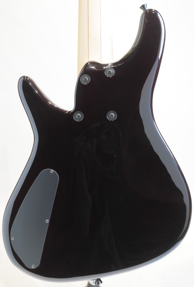 Sugi NB5IR FM / ASH / TRSP（新品）【楽器検索デジマート】