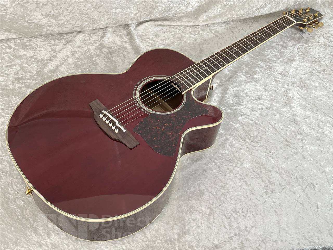 Takamine DMP551C WR（新品/送料無料）【楽器検索デジマート】