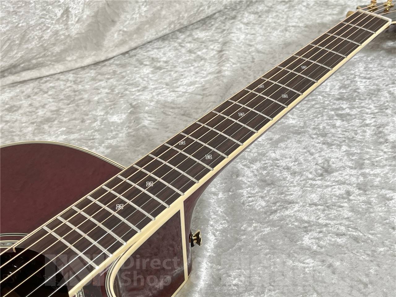 Takamine DMP551C WR（新品/送料無料）【楽器検索デジマート】