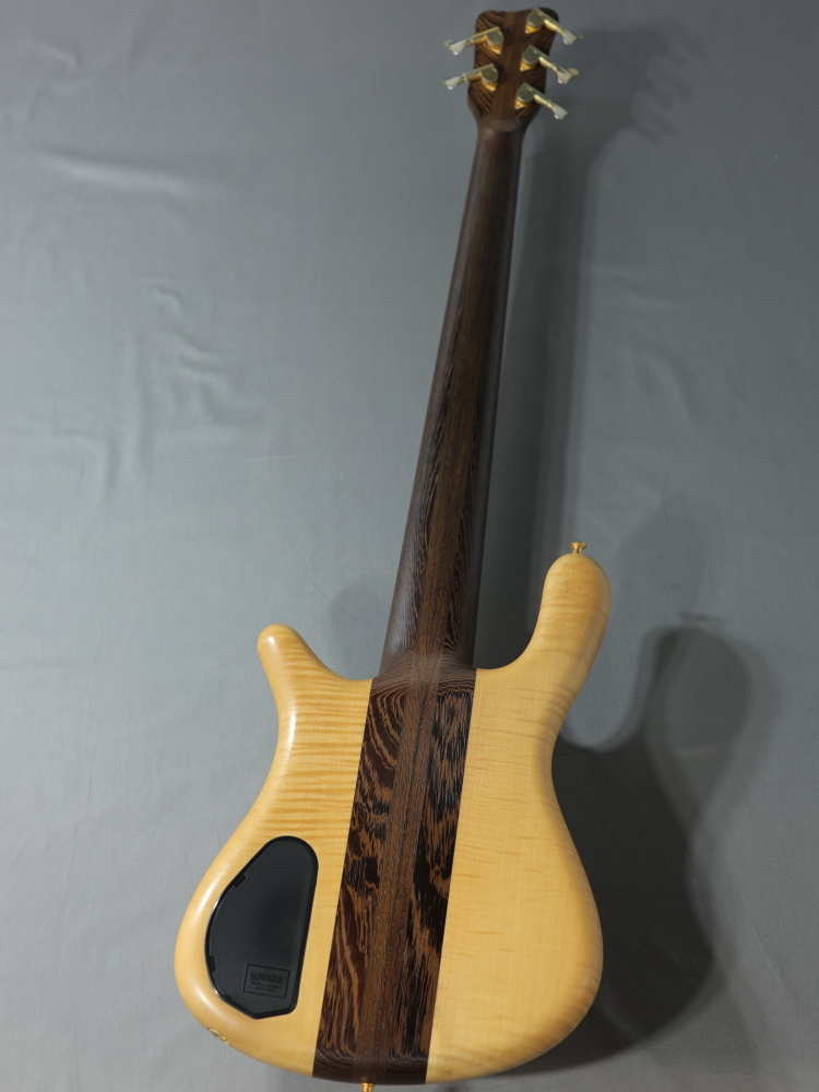 WARWIC streamer stage1 MTB 5最終値下げ Warwick Streamer Stage 1 の5弦モデルの美品中古が入荷しました