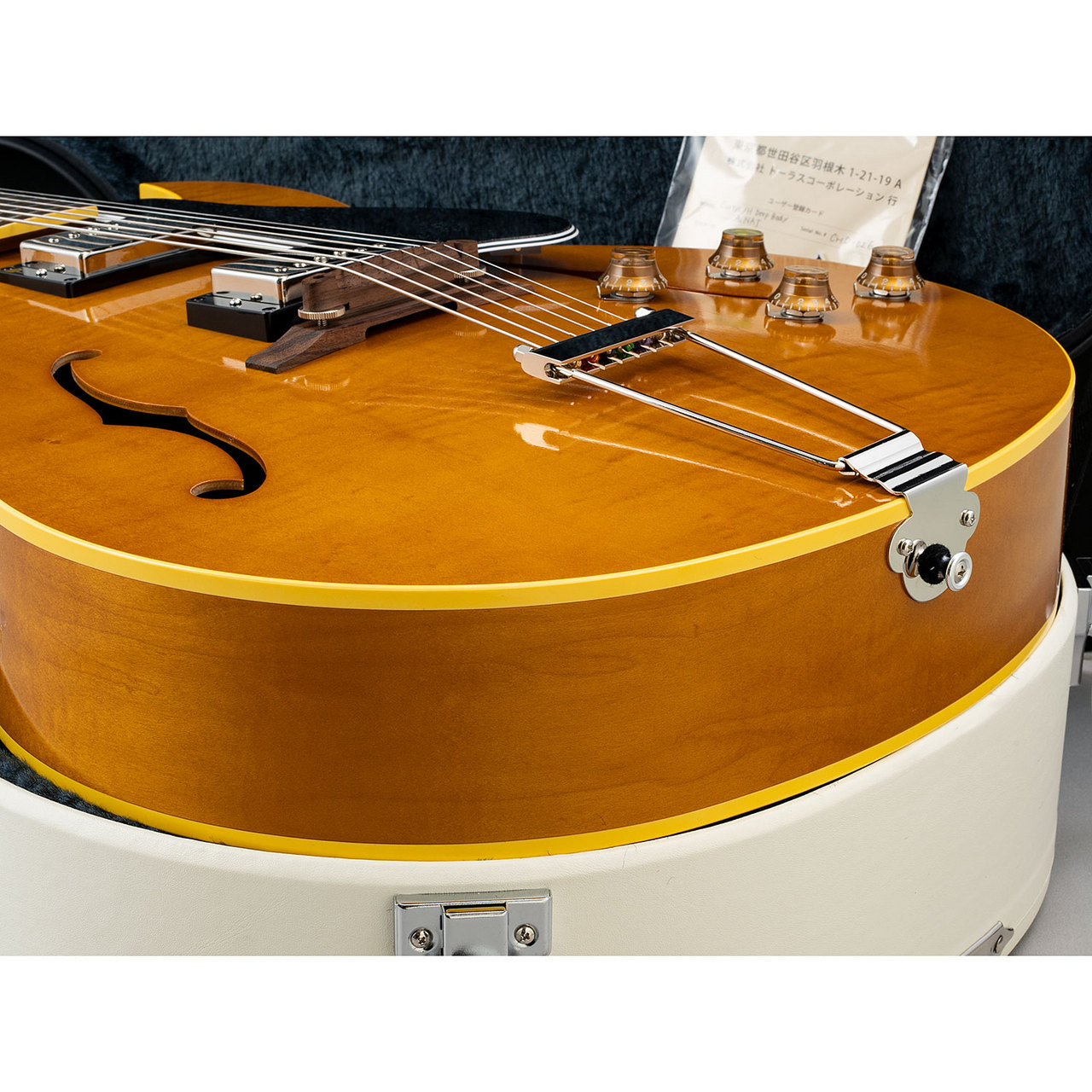 KING SNAKE Curtis/H DEEP Body/Amber Natural（新品）［デジマート