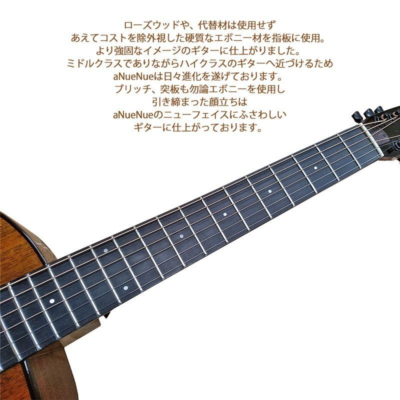 即納&大特価】 BirdGuitar 評価の高いバードギター aNueNue アヌエヌエ