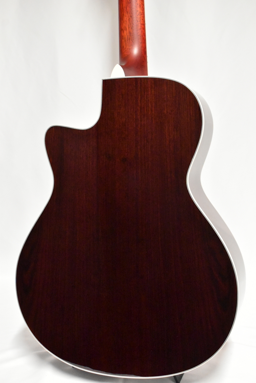 Morris R-14G CS(チェリーサンバースト) 【国産エレアコ】（新品