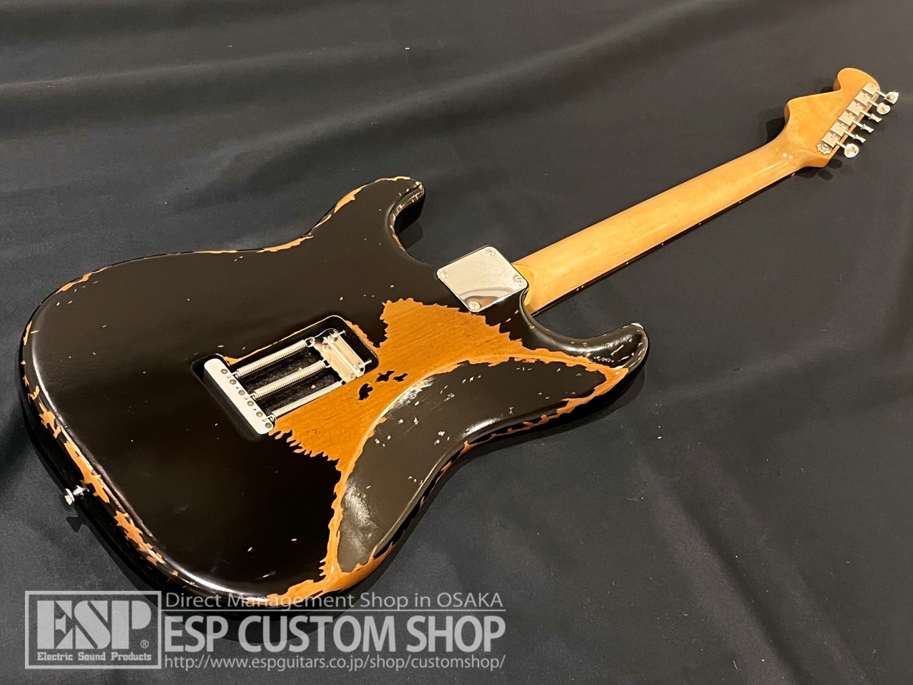 ギター EDWARDS E-SE-S.K.I.N. SUGIZO Edwards E-SE-S.K.I.N Luna Sea - Sugizo Signature Model