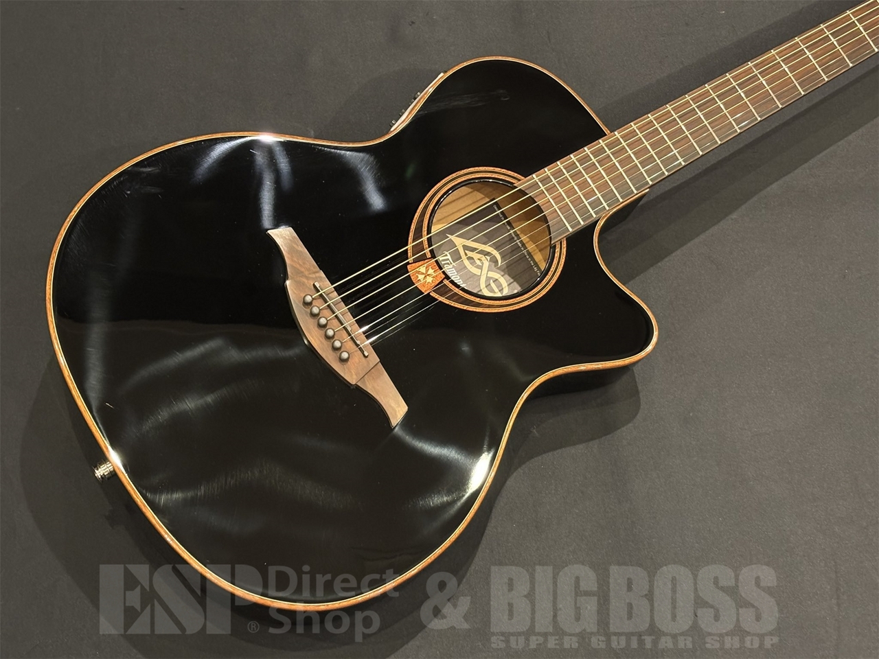 Lag アコースティックギターケース 黒　高級感　美品 LAG Guitars T118ASCE BLK アコースティックギター エレアコ 薄