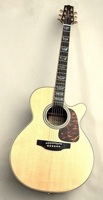 Takamine 【夏の激アツセール】500 CUSTOM Wild Grain Rosewood