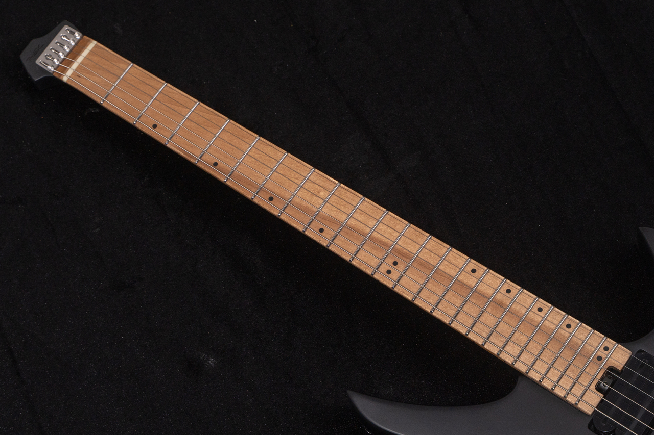 ギター HEX Guitars / N500P Black HEX Guitars N500P Black（新品/送料無料）【楽器検索デジマート】