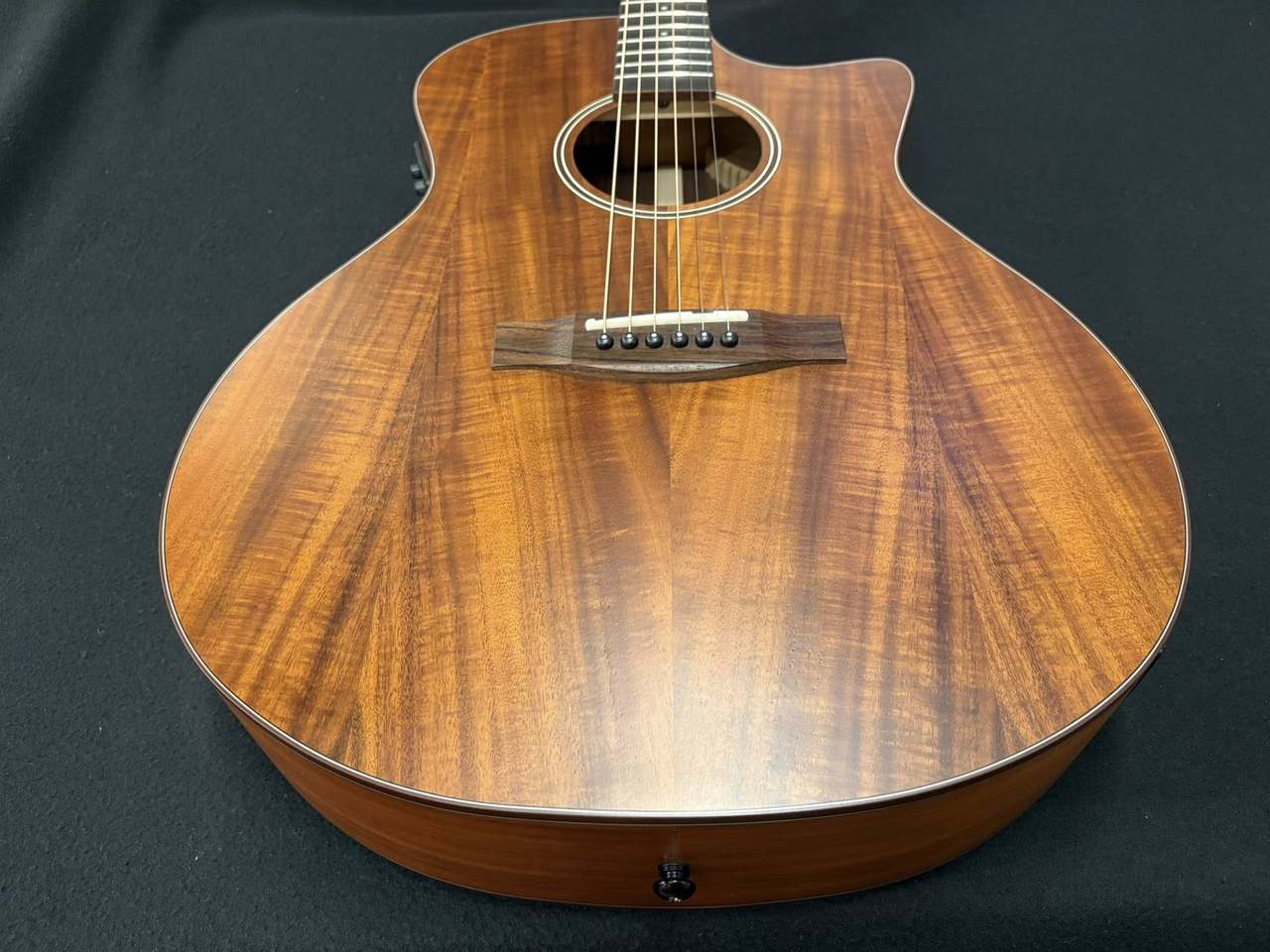 アリア社)エレクトリックアコースティックギター アリア12弦 FET-12