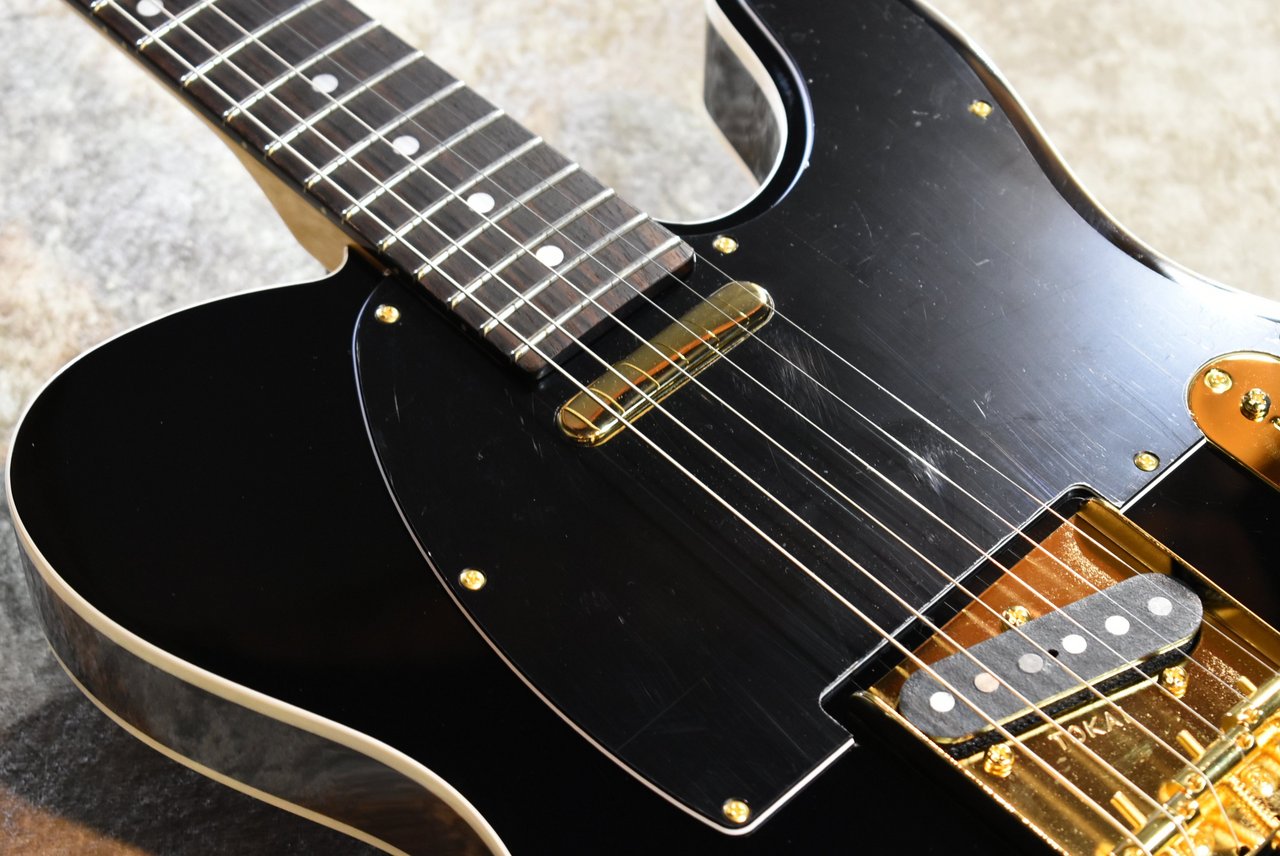 Tokai ATE-101B/G BBR #250234【待望の入荷、3.76kg】（新品）【楽器
