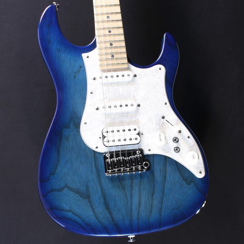 FUJIGEN(FGN) EOS2-ASH-M (See-Thru Blue Burst) #H240240（新品