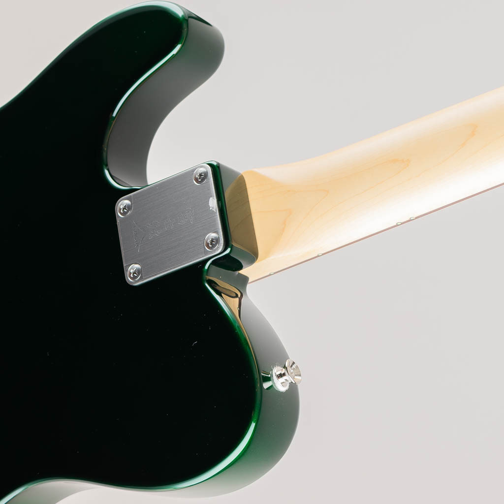ギター FUJIGEN(FGN)NTE100RAL/Candy Apple Green FUJIGEN FGN フジゲン NTE100RAL CAG Candy Apple Green