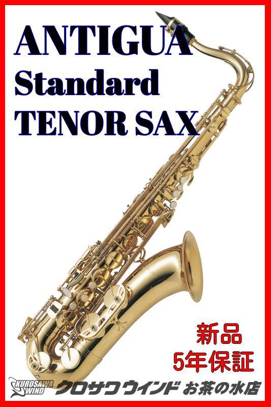 低価高評価☆クラシック作品☆ テナーサックス Tenor Saxophone サックス B♭ 変B調 真鍮 丈夫 漆塗りゴールド 演奏 SKS21 アルトサックス