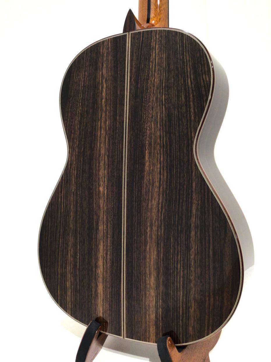 ASTURIAS RENAISSANCE/S (630)（新品/送料無料）【楽器検索デジマート】