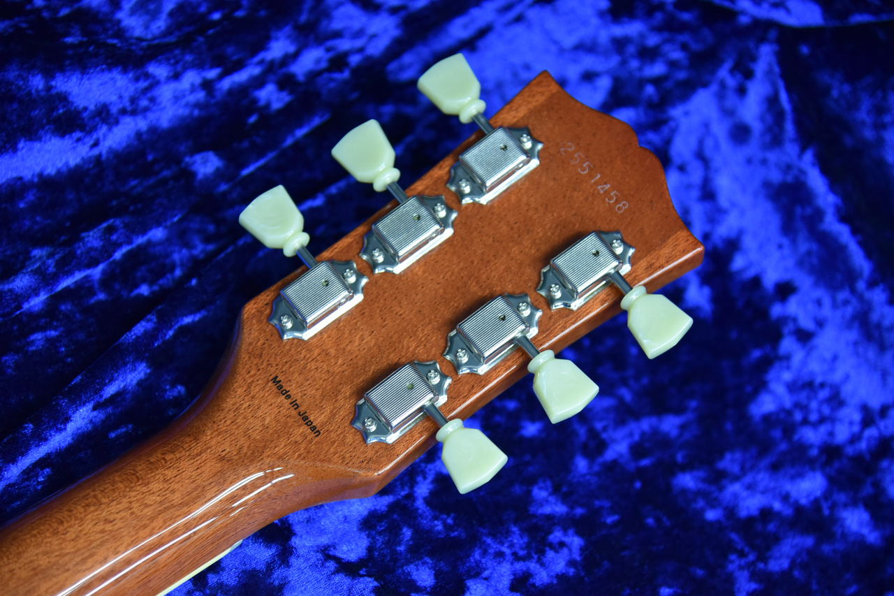 Tokai LS-101 LD Lemon Drop MADE IN JAPAN （新品）【楽器検索