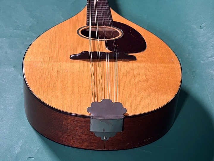 Martin STYLE-A（ビンテージ）【楽器検索デジマート】