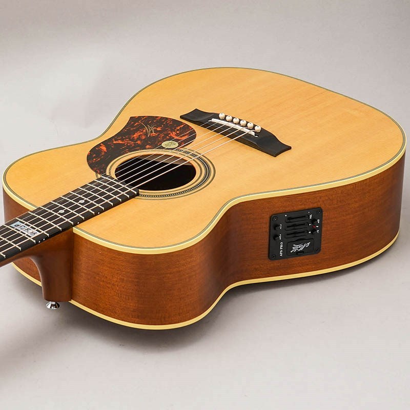 MATON EBG808 TE #29595 メイトン（新品）【楽器検索デジマート】