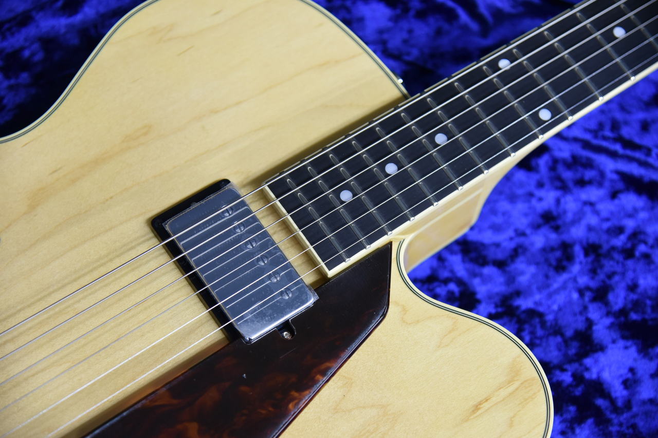 フルアコAriaProⅡ フルアコAriaProⅡ