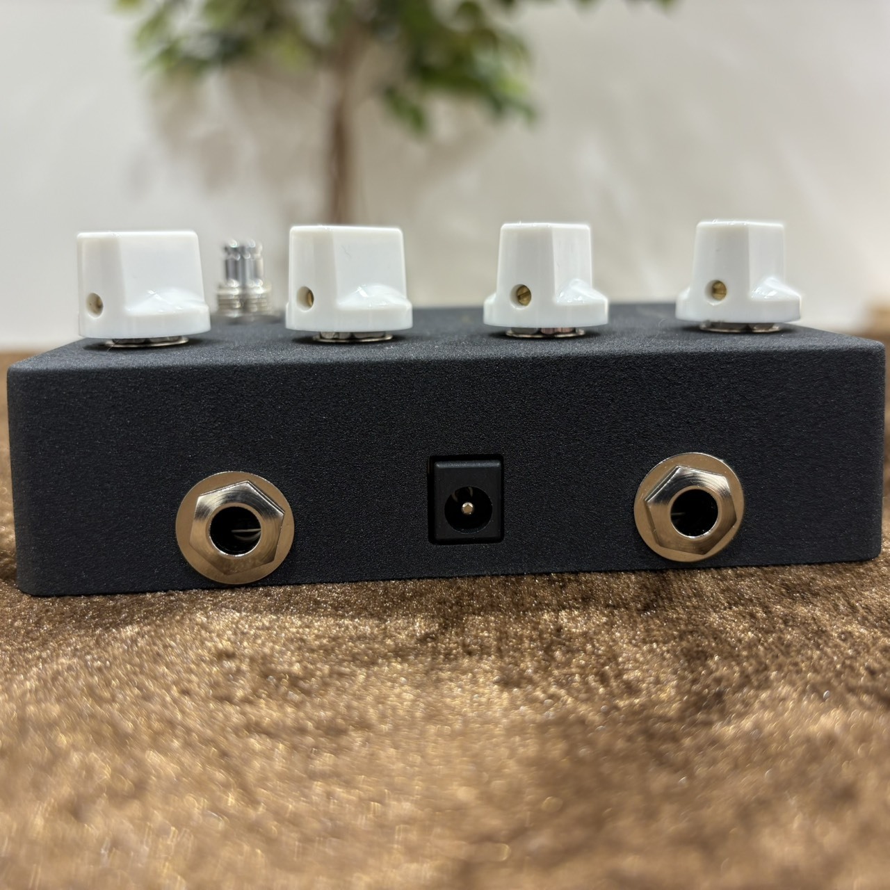 KORG 《完全数量限定 / 迅速発送！》OD-S BK スペシャルモデル