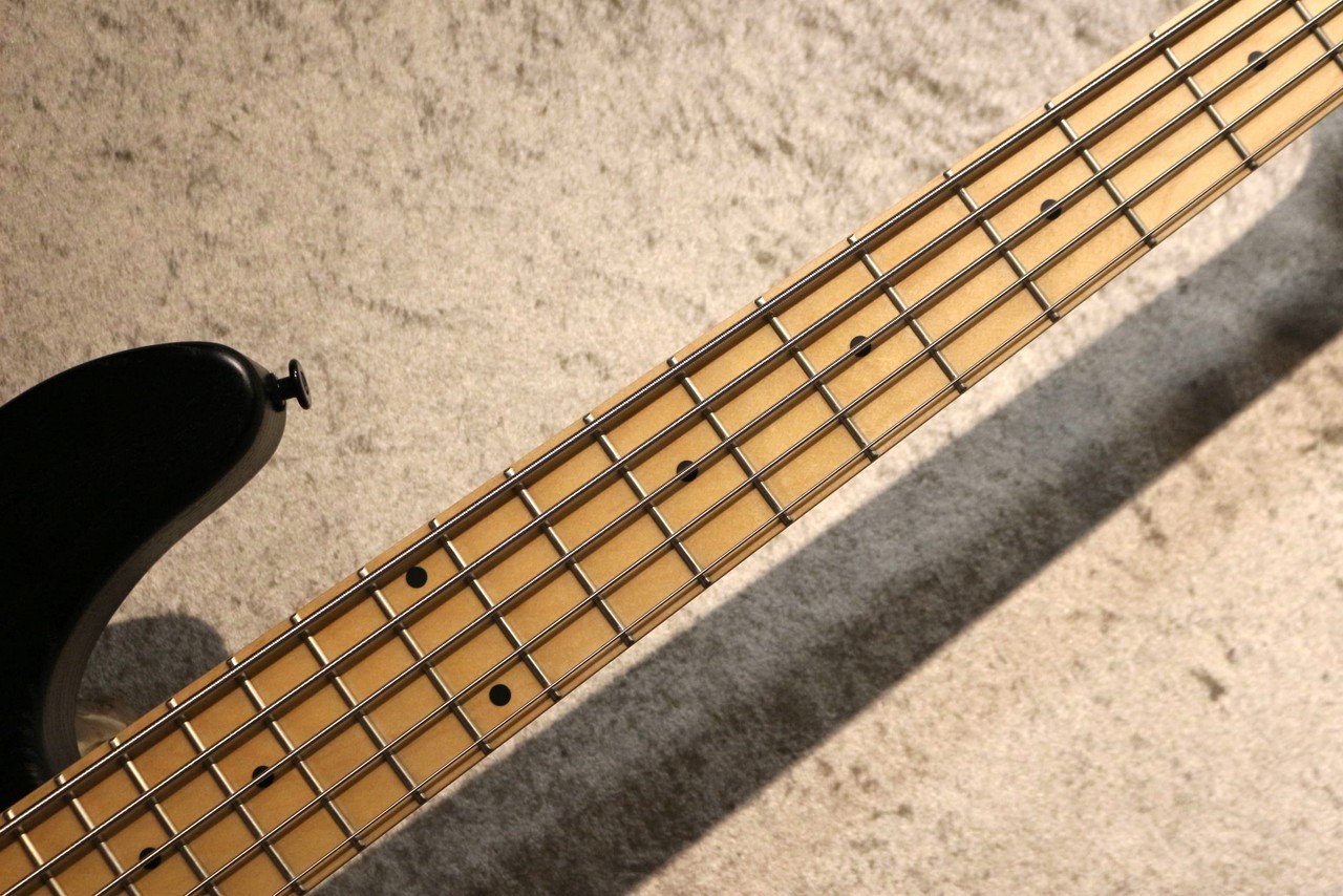 FUJIGEN(FGN) 【重量級個体!!】 JMJ52B-ASH-M -Open Pore Black