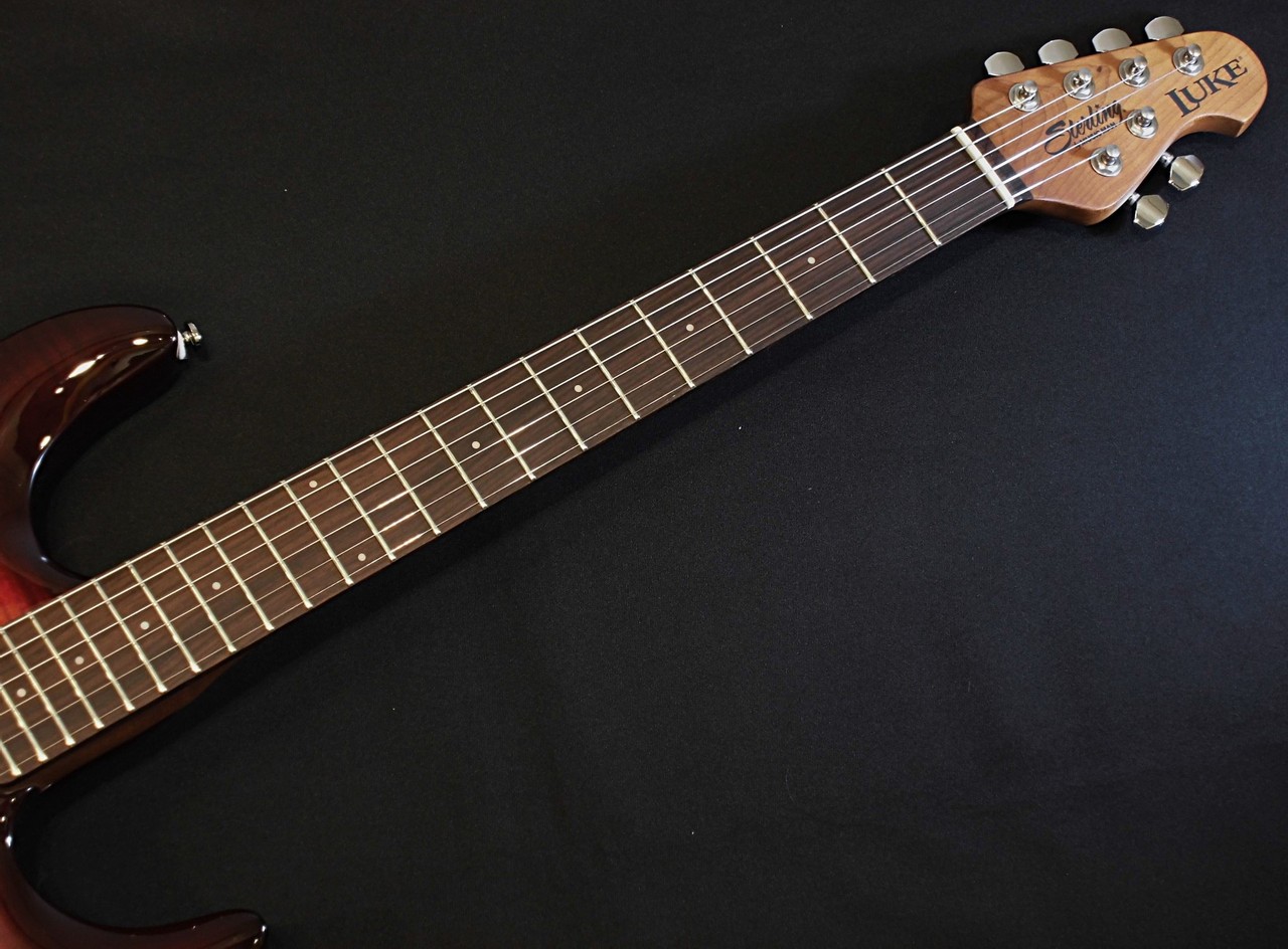 Sterling by MUSIC MAN LUKE LK100 / Hazel Burst【Steve