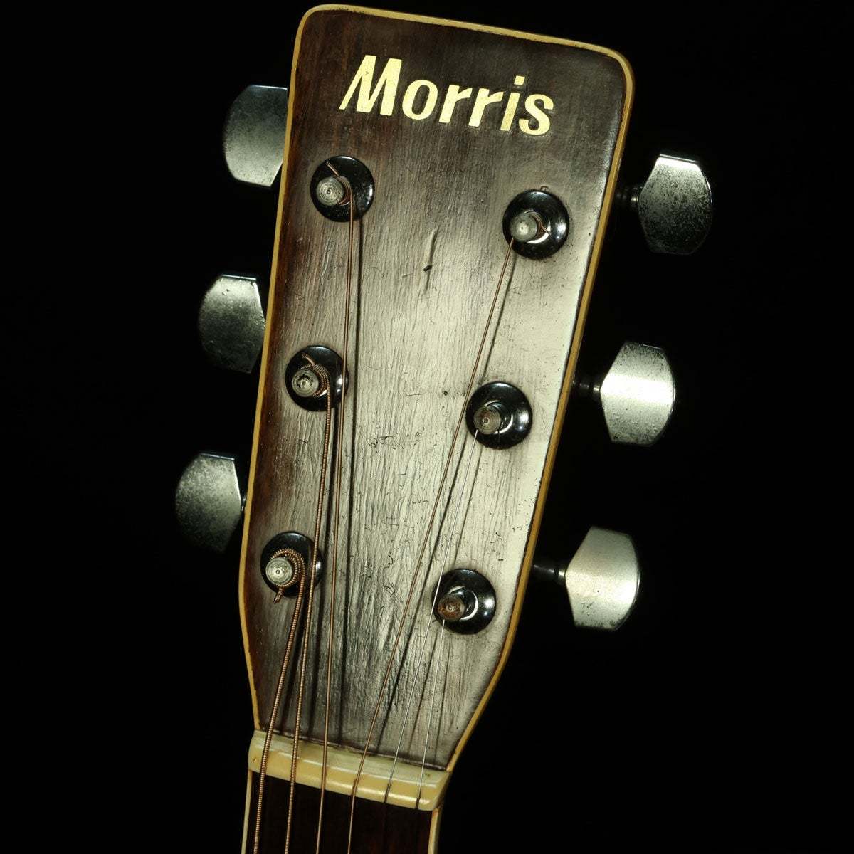 Morris F20 undefined【訳アリ】 【福岡店】（中古）【楽器検索