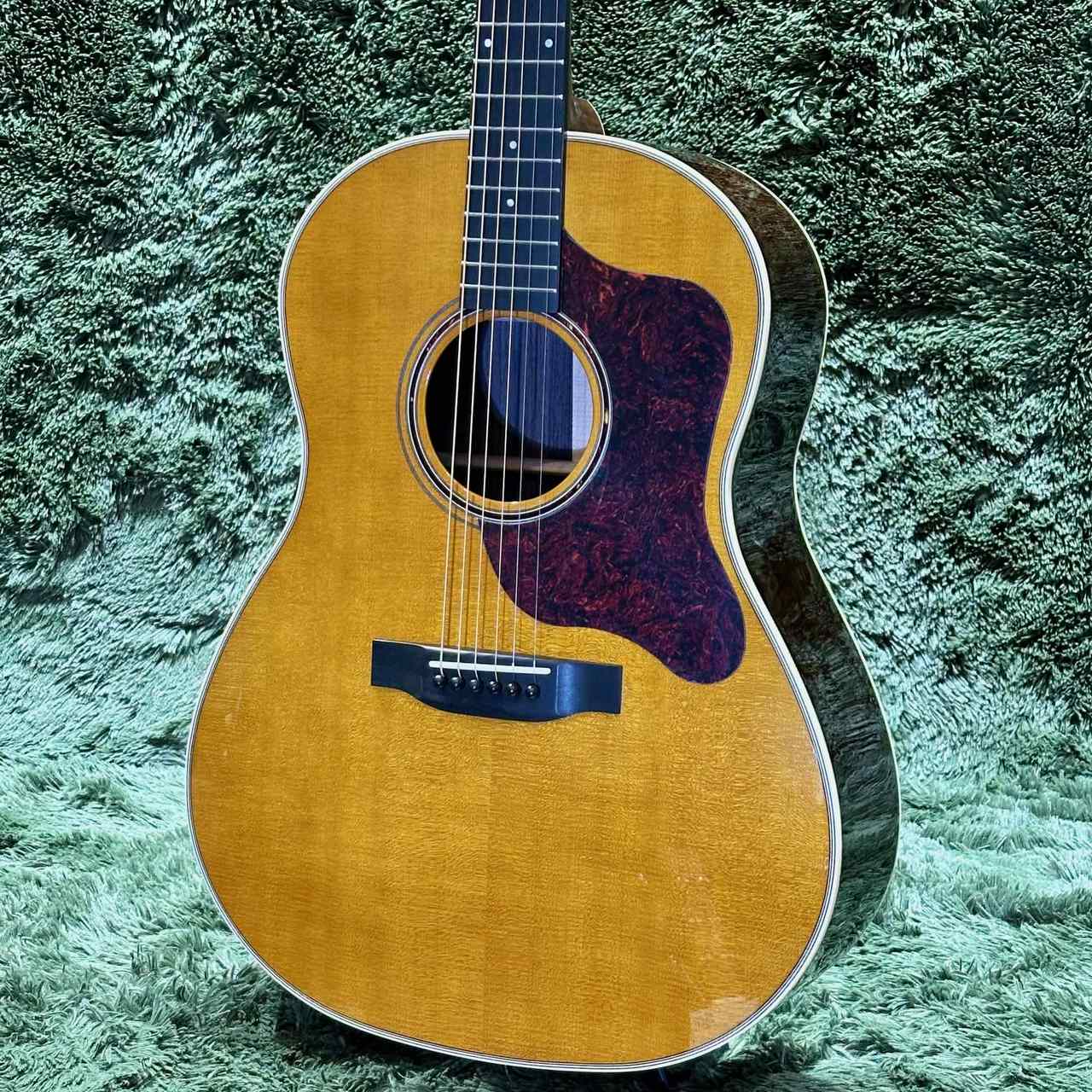 Stafford SAD-2000 エレアコギター上位モデルHC付 クロサワ楽器