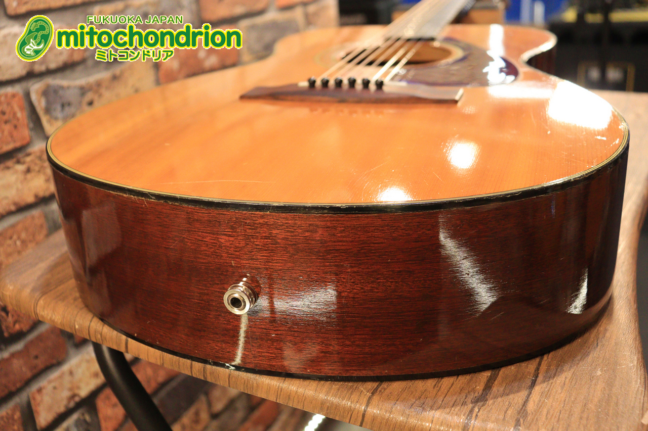 YAMAHA 1973年製 FG-130 / グリーンラベル（中古）【楽器検索