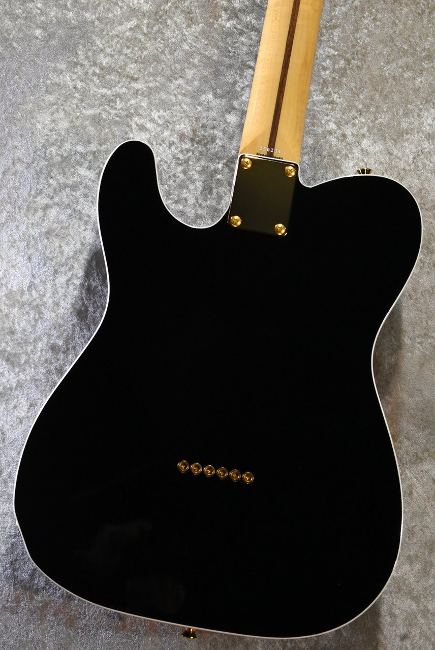 Tokai ATE-101B/G BBR #250234【待望の入荷、3.76kg】（新品）【楽器