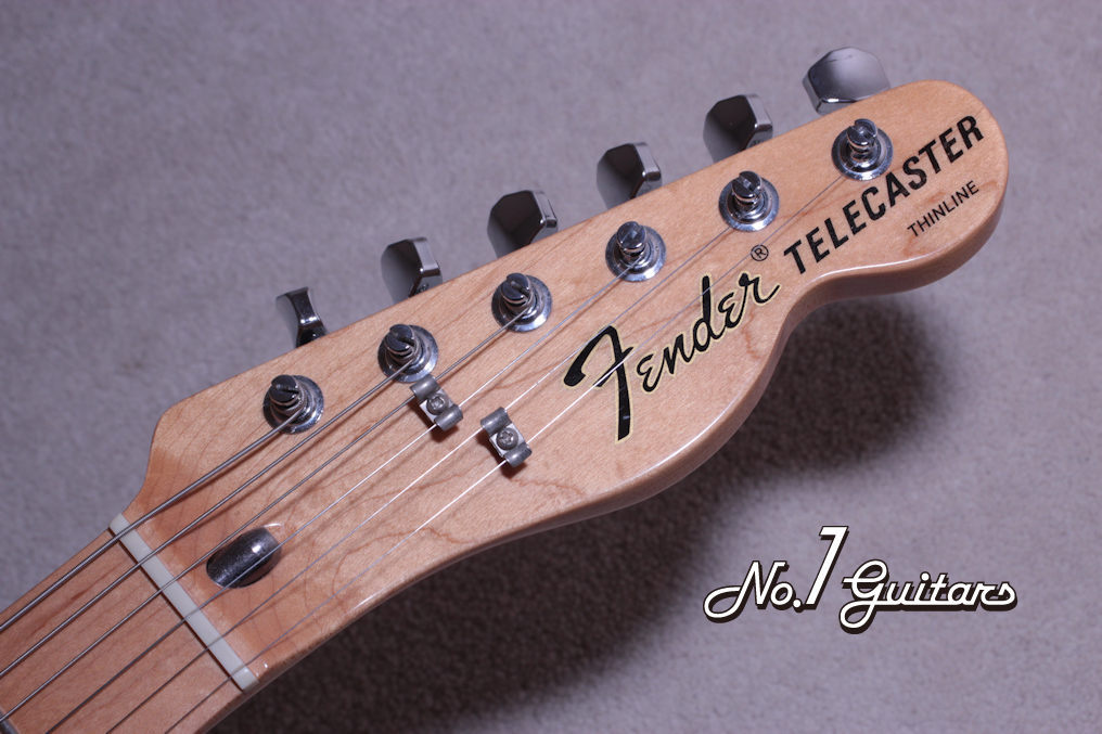 Fender Mexico Telecaster Thinline（中古）【楽器検索デジマート】