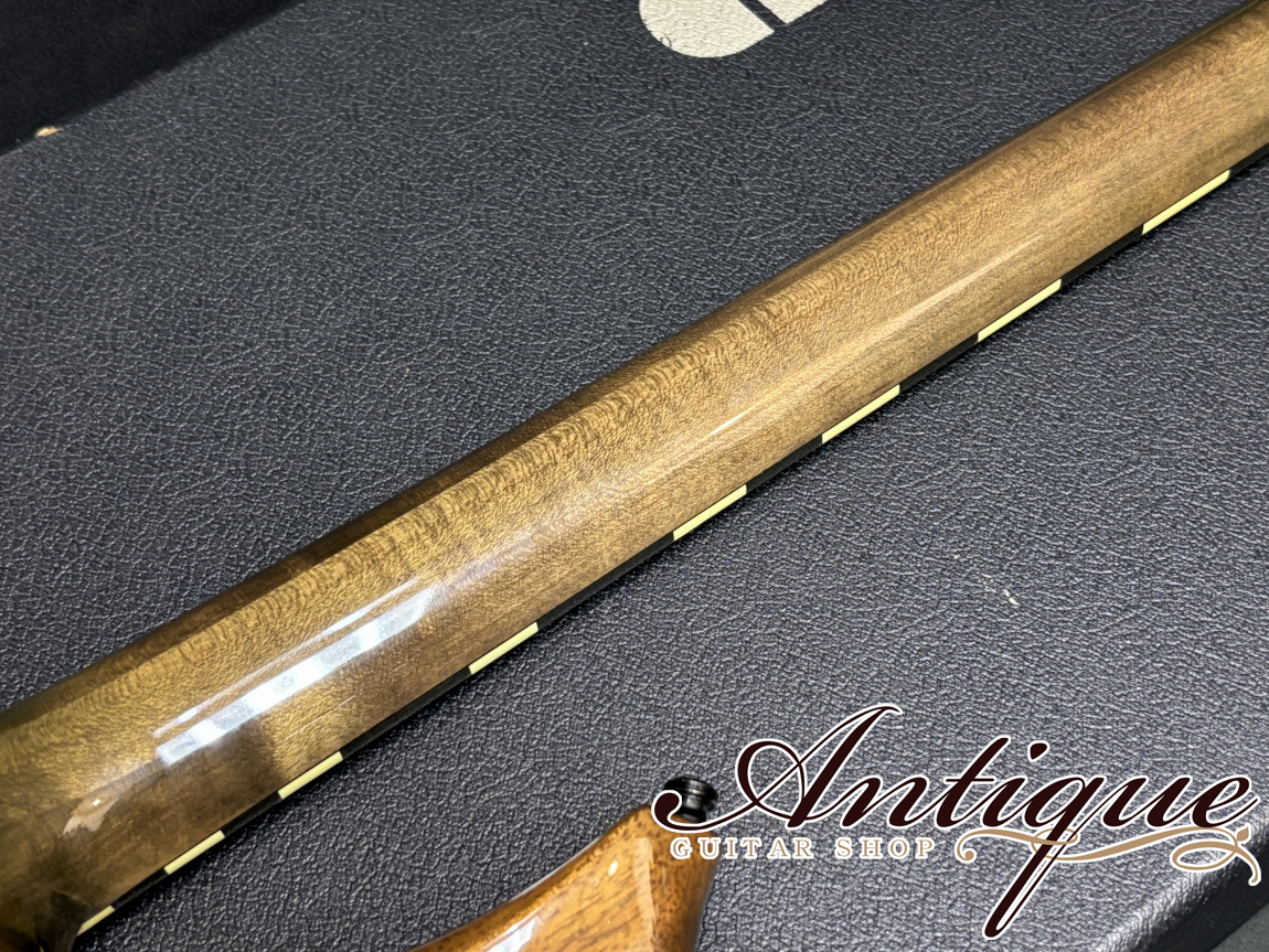 ESP [001]-560P PIERROT Aiji Model 1999 See Through Black Purple