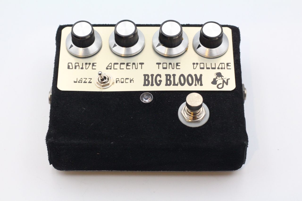 AMPLIFIED NATION BIG BLOOM（中古）【楽器検索デジマート】