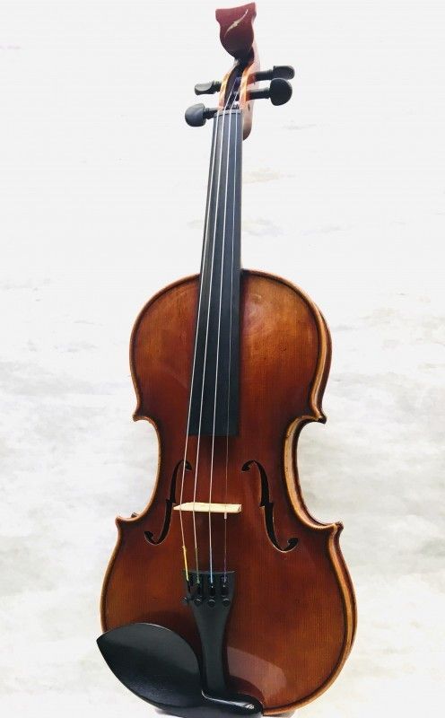 Bridge Violins 【エレキバイオリン】 Bridge Tasman 《4string