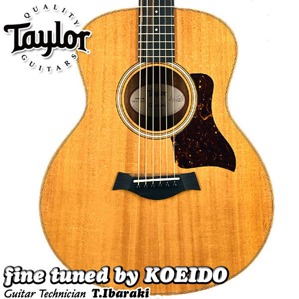 Taylor Taylor GS MINI-e Mahogany ES2(fine tuned by KOEIDO)【札幌店