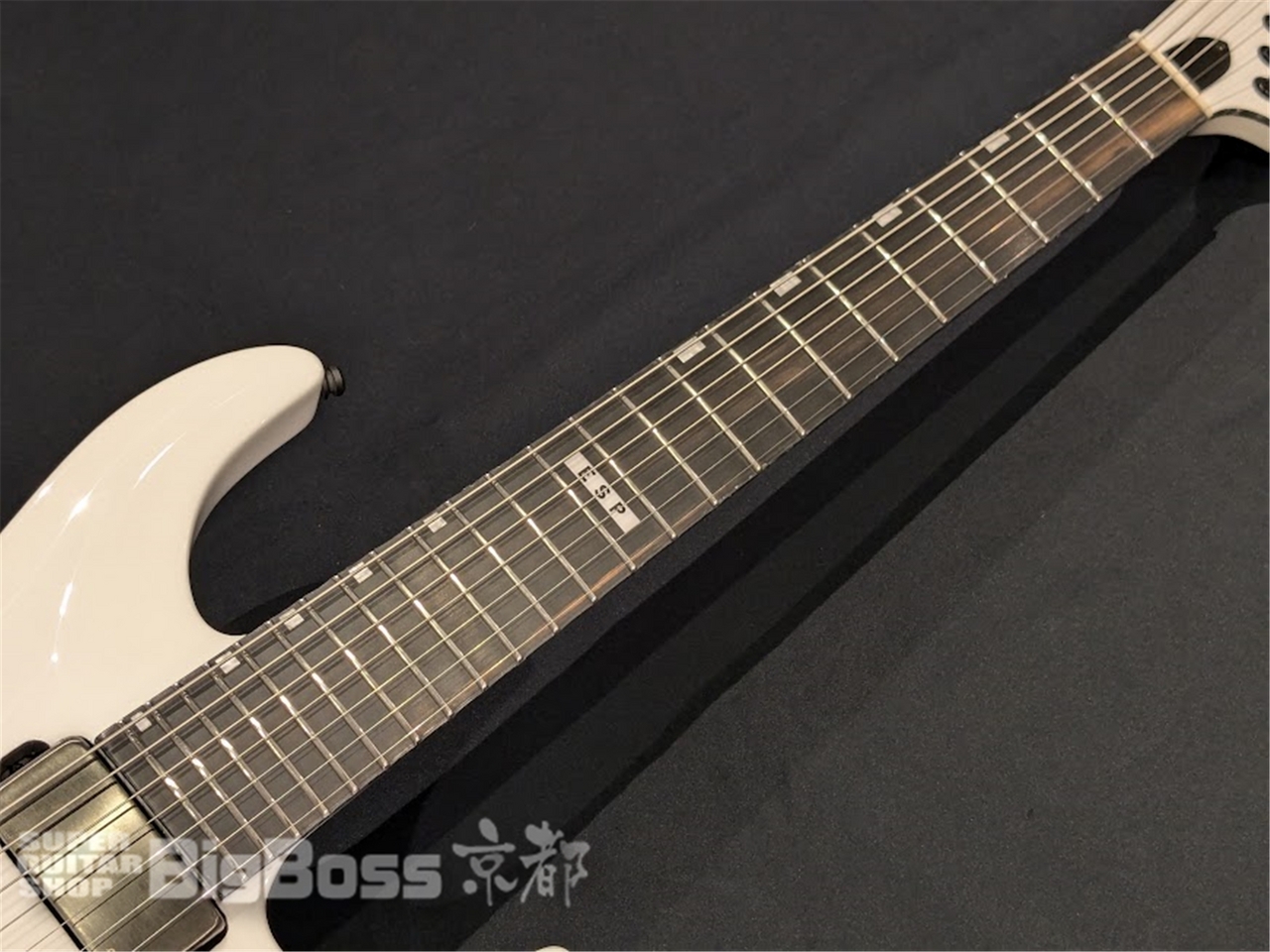 E-II HORIZON NT-7B HS / Snow White（新品/送料無料）【楽器