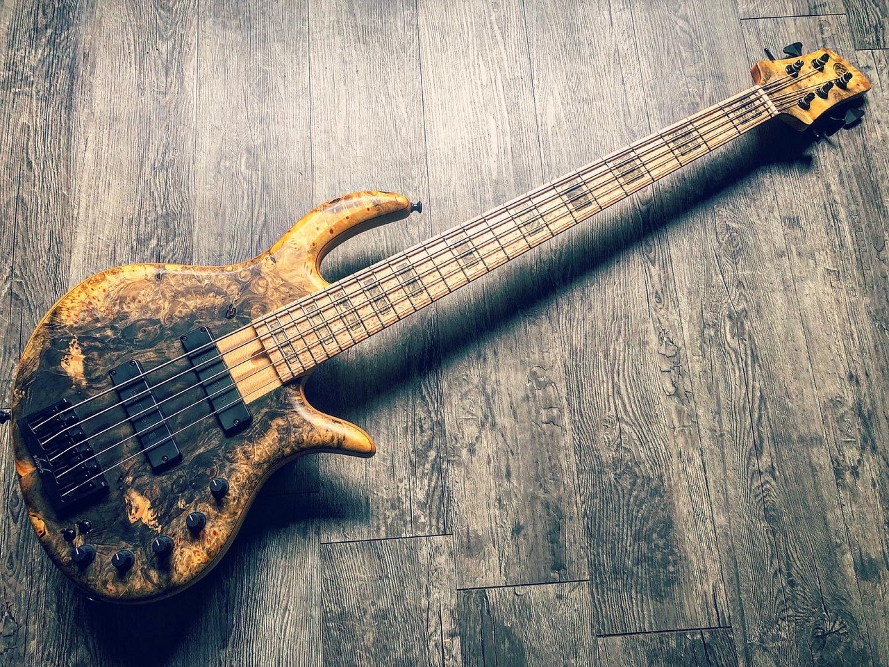 Elrick Gold Series e-volution 5st Buckeye Burl（中古）【楽器検索デジマート】