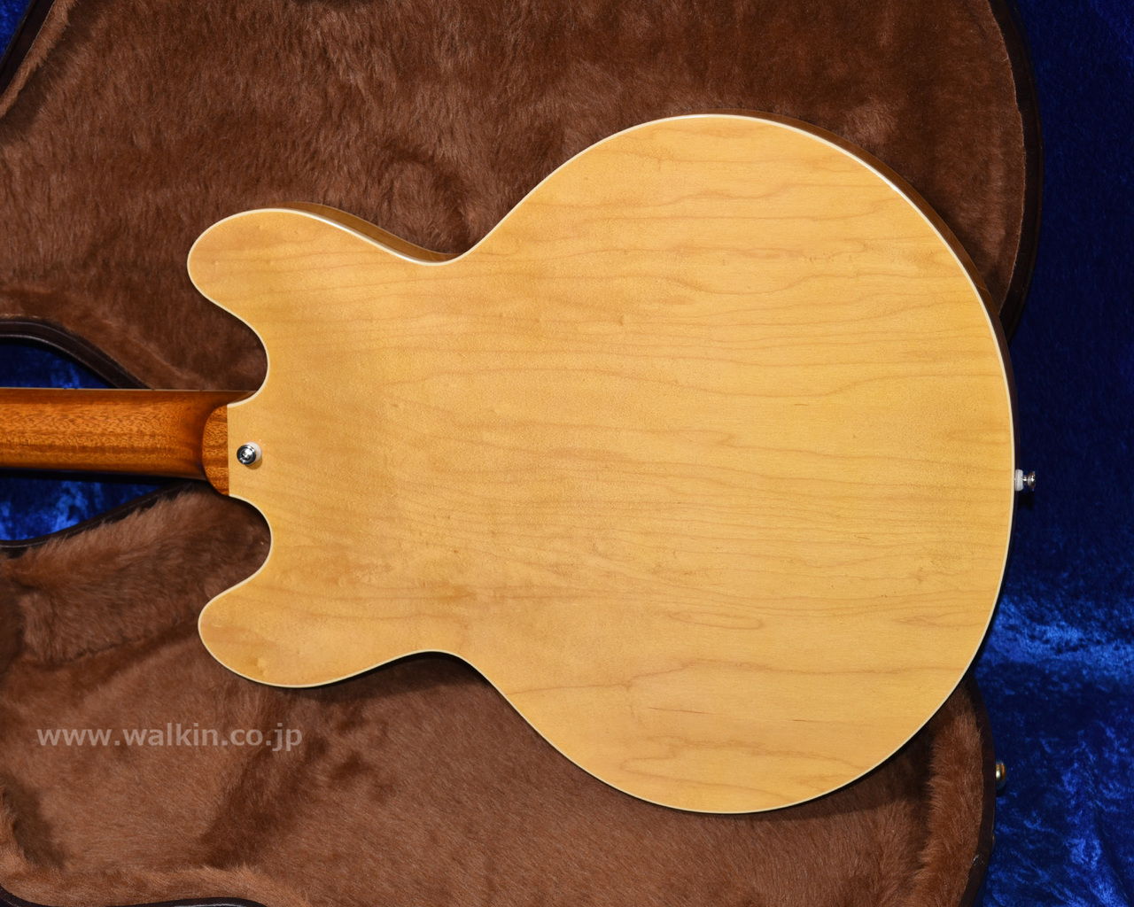Archtop Tribute AT135STP（新品）【楽器検索デジマート】