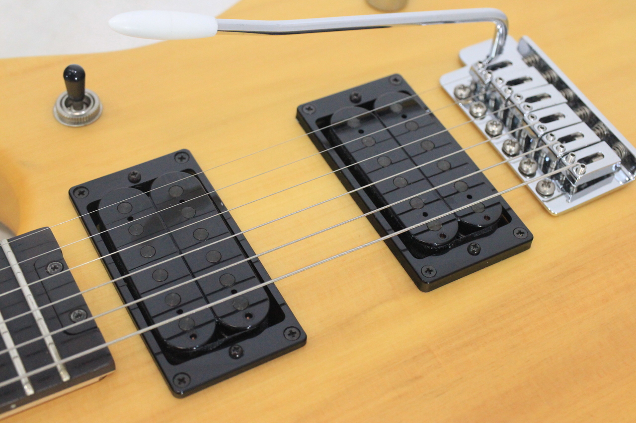 Washburn N1（中古）【楽器検索デジマート】