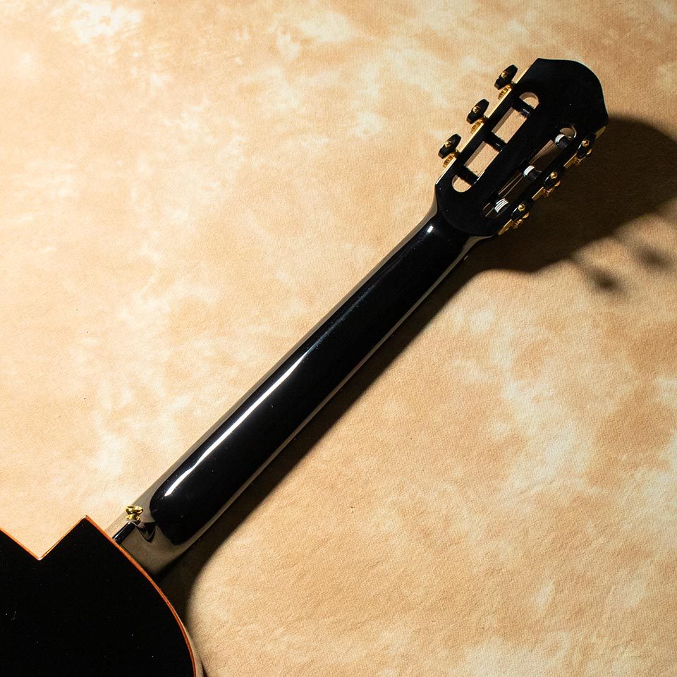 aNueNue aNN-LN77E（新品/送料無料）【楽器検索デジマート】