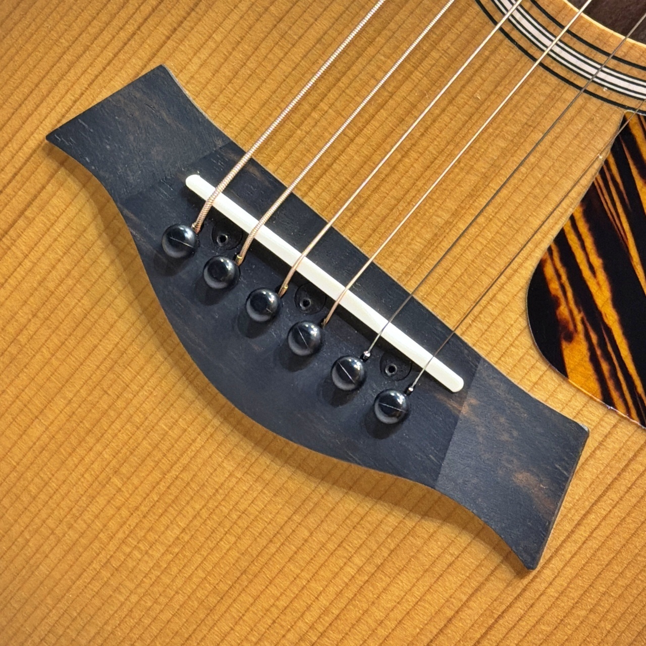 Taylor 【試奏動画あり】GS Mini-e Rosewood SB #2201075408【小ぶり