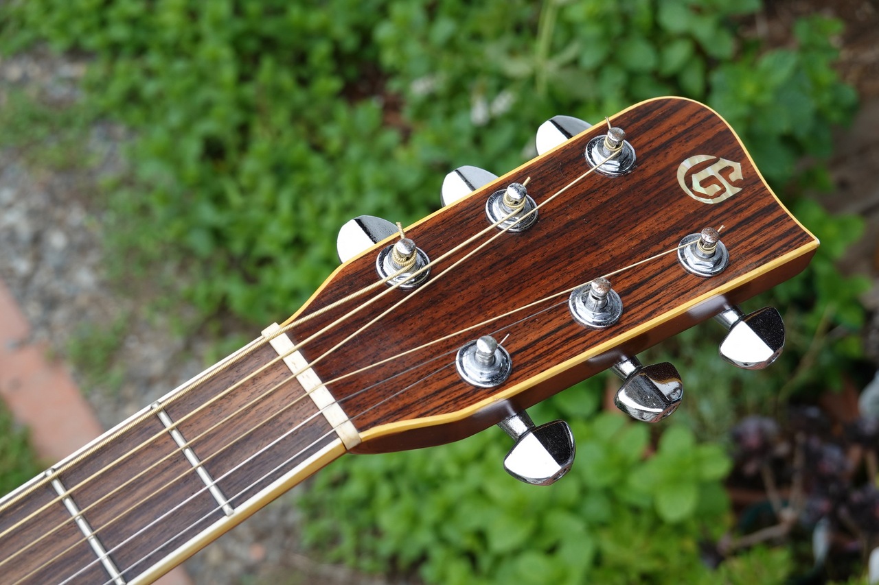 TAKAMINE ELITE TW30 アコースティックギター 聴こえ ハード