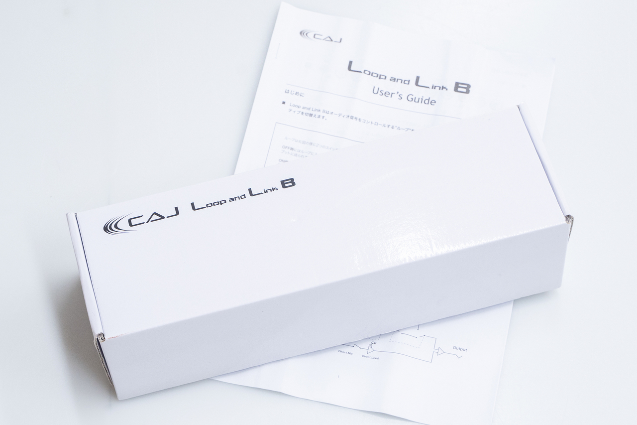 CAJ (Custom Audio Japan) Loop and Link B【GIB横浜】（中古/送料無料
