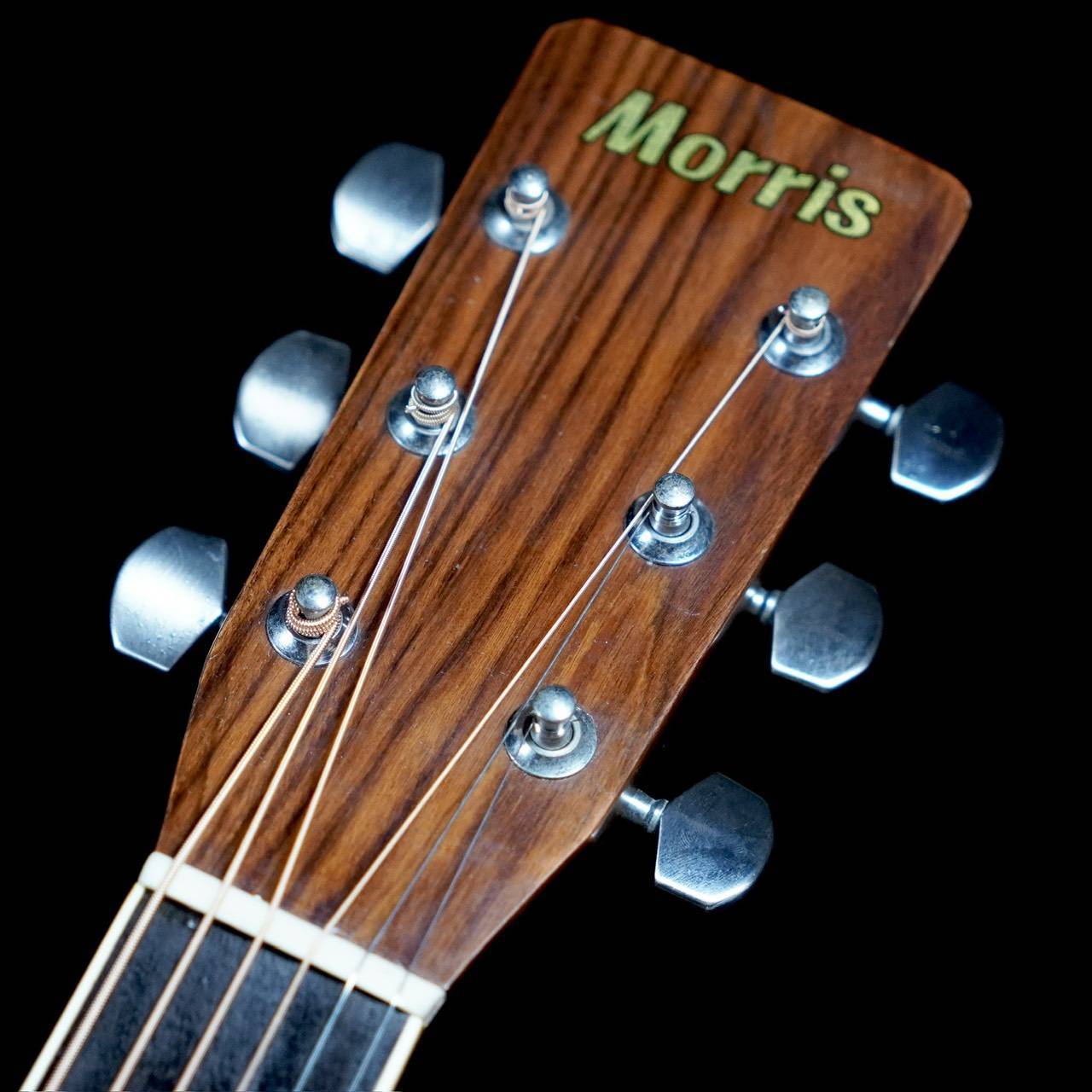 Morris MD-505（中古/送料無料）【楽器検索デジマート】