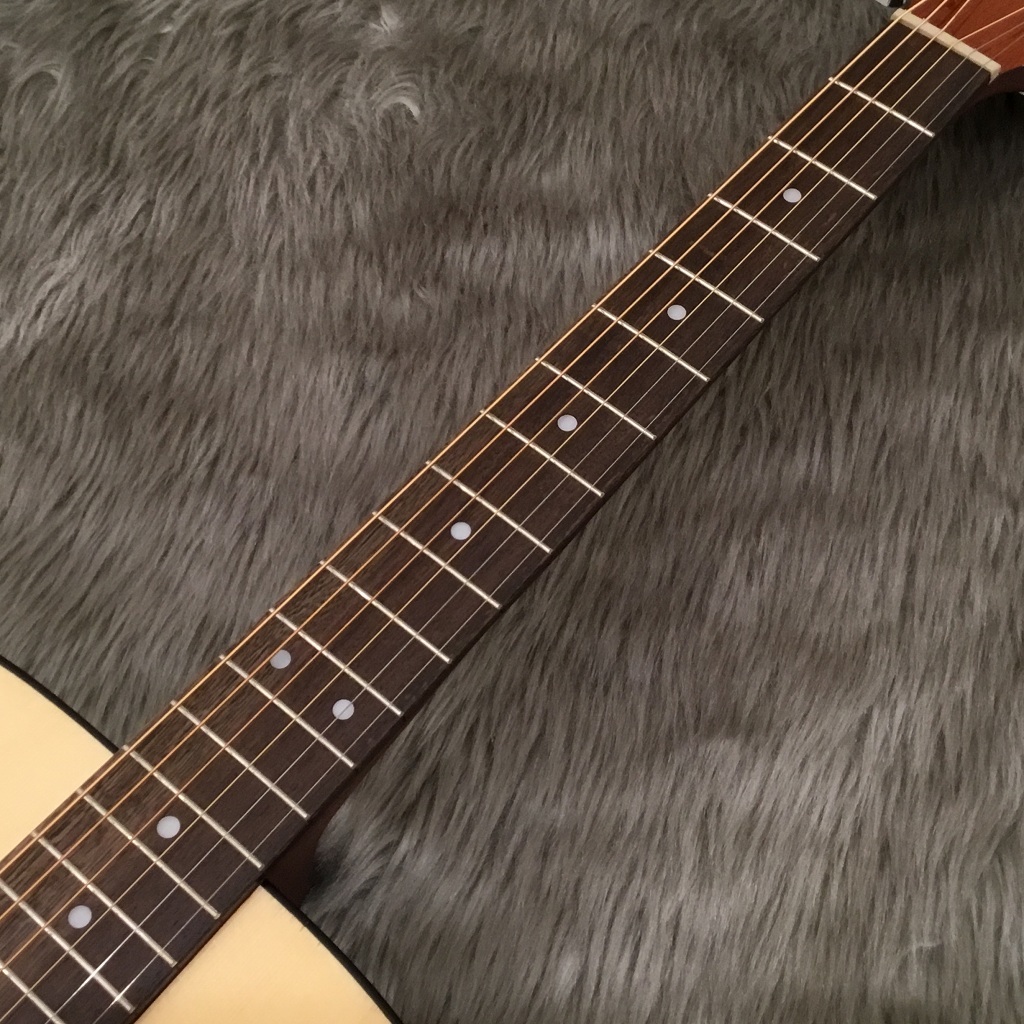 Cort CAG-1D Natural アコースティックギター ドレッドノートタイプ