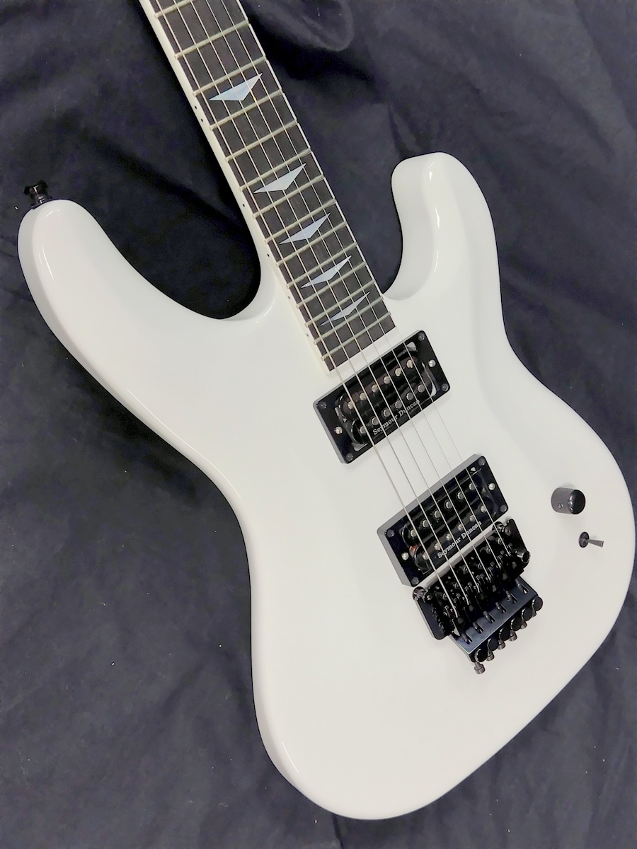 ARIAPROⅡ　RS-CUSTOMⅡ ARIAPROⅡ RS-CUSTOMⅡ