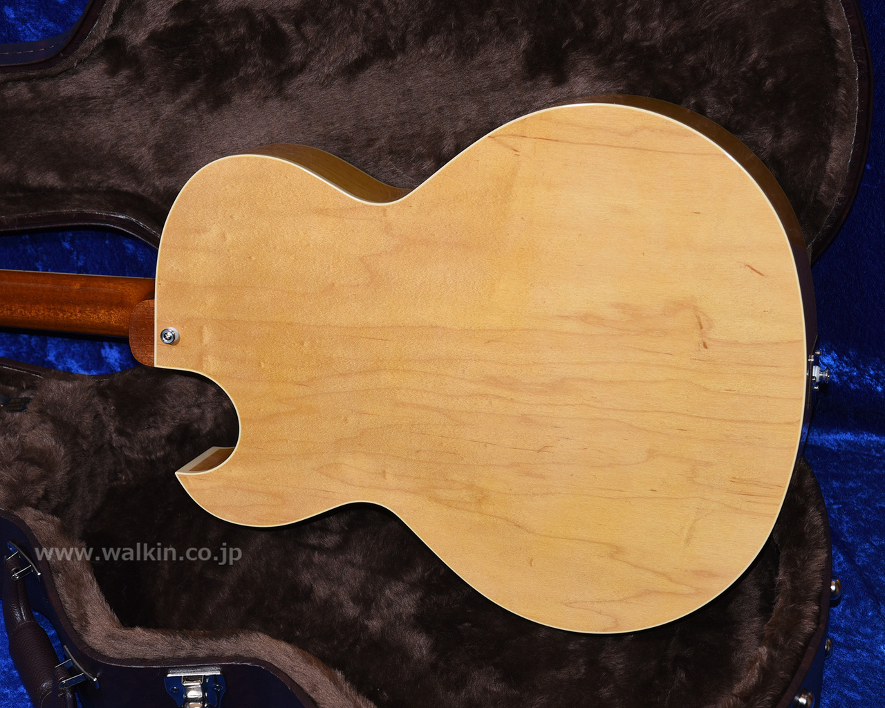 Archtop Tribute AT105 Classic（新品）【楽器検索デジマート】