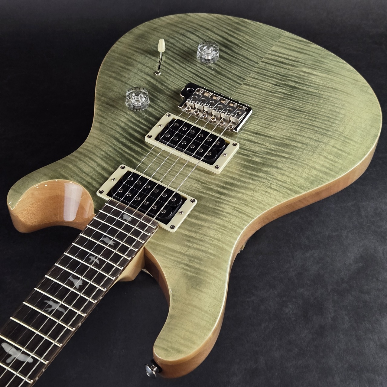 Paul Reed Smith(PRS) SE CUSTOM 24 ‐ Trampas Green【現物画像